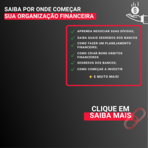 organização financeira com controle financeiro
